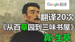 Menerjemahkan 20 kali kutipan klasik dari "Dari Taman Baicaoyuan ke Rumah Belajar Sanwei" karya Lu X