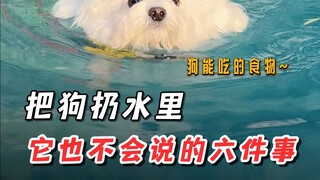 6 สิ่งที่สุนัขของคุณจะไม่บอกคุณหากคุณโยนมันลงไปในน้ำ