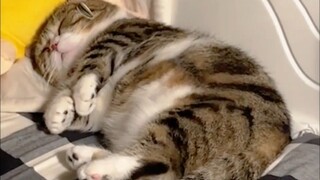 You've got a "beer belly" already at such a young age!