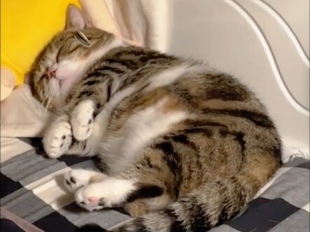 You've got a "beer belly" already at such a young age!