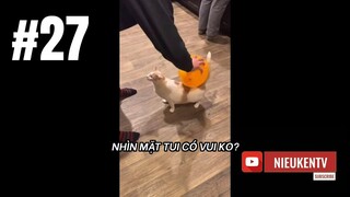 TỔNG HỢP MEMES PART 27 | NHỮNG CLIP VUI NHỘN