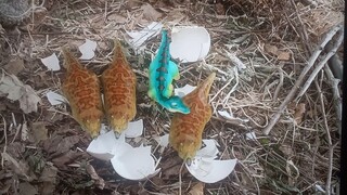 Dinodan treks adventures hd