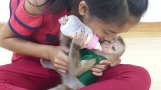 Most Cutest!! Look So Love Sister Pisey Comfort Baby Monkey Maku Drink Milk