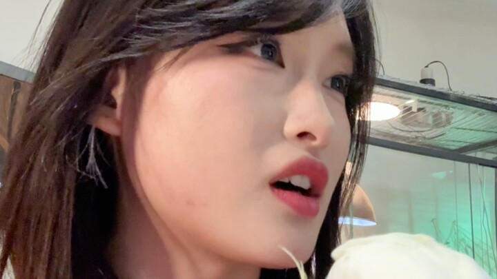 เมื่อฉันรวบรวมความกล้าที่สวนสัตว์เพื่อแสดงความคิดเห็นของตัวเอง: