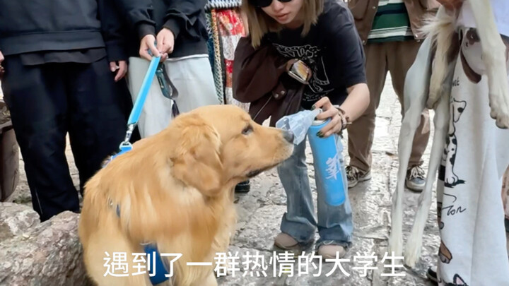 البيانات الضخمة تساعد في توصيل هذا المحتوى إلى مجموعة من الطلاب الجامعيين الحماسيين والمحبوبين. يقول