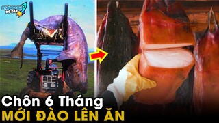 ✈️ 5 Thứ Thối Kinh Dị Khủng Khiếp Nhất Thế Giới Nhưng Lại Có Giá Đắt Đỏ Không Ngờ | Khám Phá Đó Đây