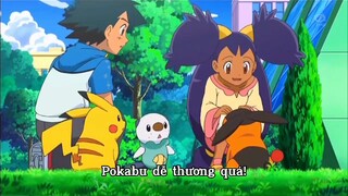 Quá khứ đau thương của chú heo lửa Pokabu bị chủ bỏ rơi