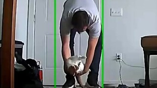 等待主人回家的小猫咪...这个抱抱心都化了！