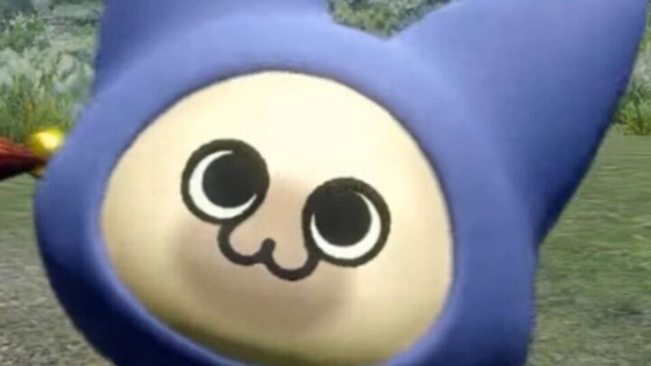 Cute, goofy cat boxing!