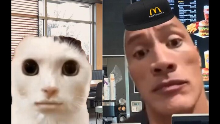 Uncanny Valley Cat in M