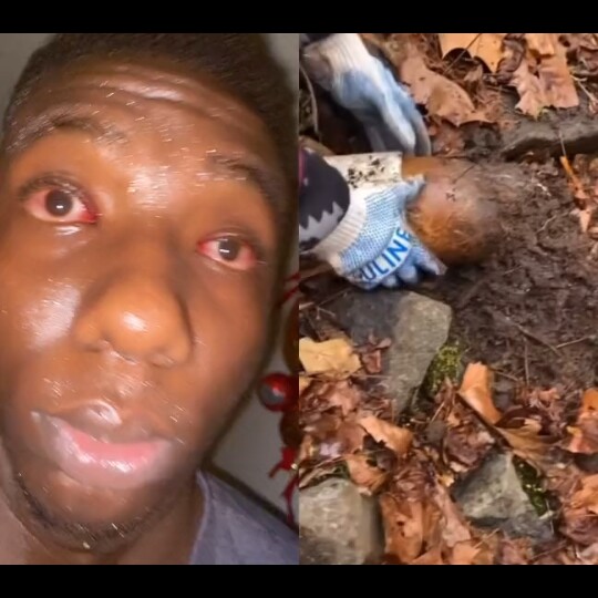 คุณต้องดูวิดีโอนี้ตอนที่กำลังถ่ายหนัก!