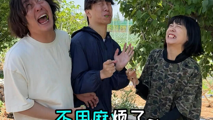 奇怪的人类和他的好朋友