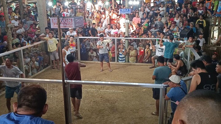 2nd fight Win 💪🐔