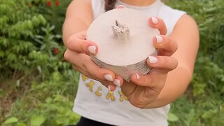 教你几招野外求生技巧