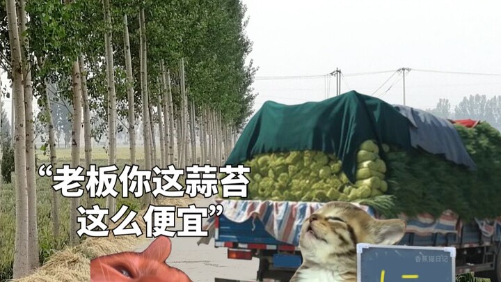 เมื่อคนต่างถิ่นมาซื้อหน่อกระเทียมที่เหอหนาน