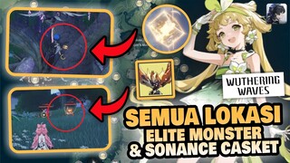 SEMUA LOKASI ELITE MONSTER & SONANCE CASKET!! 🤔 | Wuthering Waves