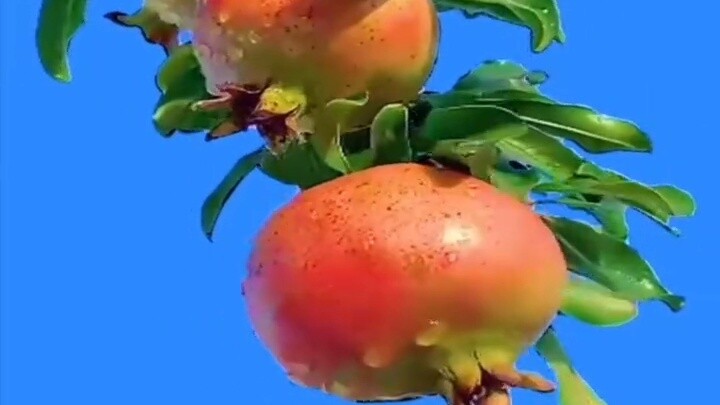 Sách trinh thám đề xuất Tiểu Ái bị bắt nạt
