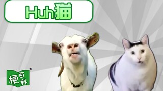 【梗百科】Huh猫是啥梗？吐舌羊和疑惑猫？！！