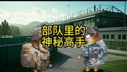 部队里的神秘高手