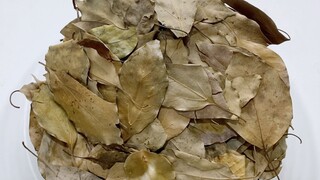 ASMR | Relaxing Slime With Dried Leaves