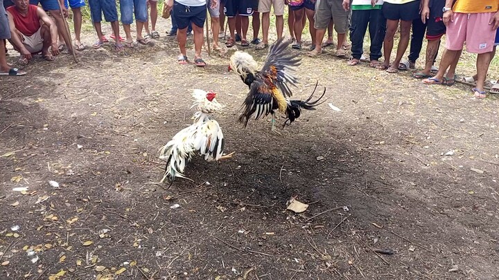 nasira ang Laro ng quality