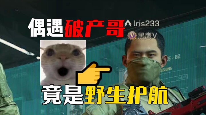 招募偶遇破产护航？