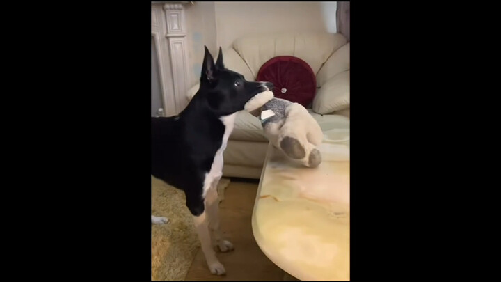 Đừng để trẻ xem nhiều thể loại phim tu tiên như vậy nữa!