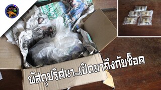 พัสดุปริศนาส่งมาอีกแล้วแต่พอแกะดูถึงกับช็อค...สไตล์korattv