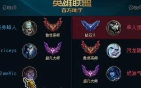 蛮王：你告诉我这是钻二！？