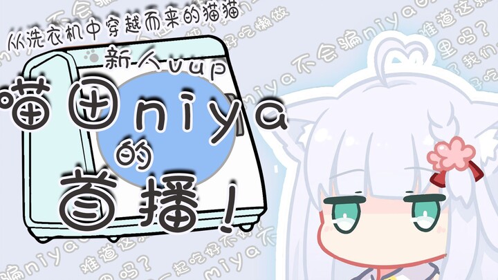 【niya】新人Vup喵田niya首播！