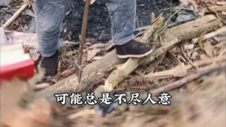 Chém Pinduoduo bao nhiêu năm rồi, cuối cùng cũng chém được!