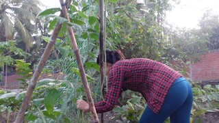 Bữa cơm gia đình canh chua cá lóc đồng, bò kho sả ớt đậm chất miền tây | ATCL T260