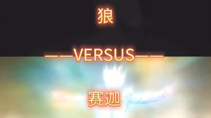 狼VS赛迦