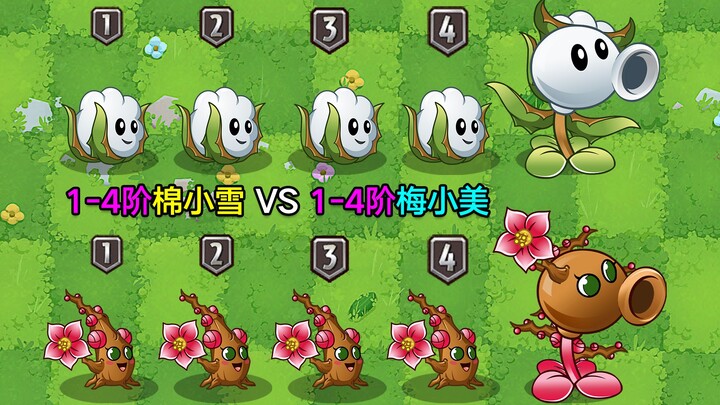 Cotton Xiaoxue (Tier 1–4) vs. Plum Xiaomei (Tier 1–4): A Battle of Uselessness—Who’s the Bigger Flop