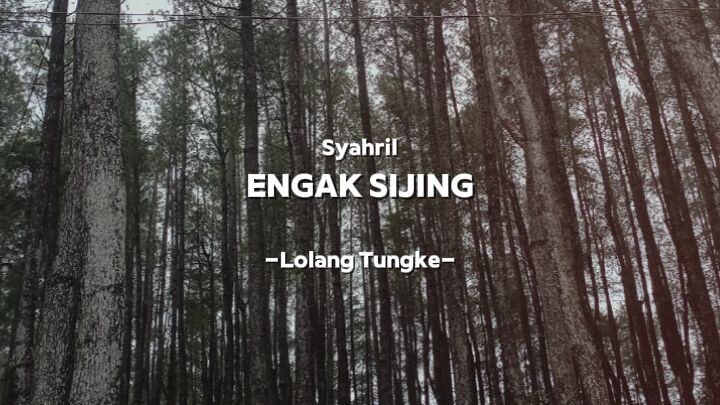 hutan pinus