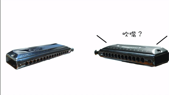[Harmonika] Saya berbeda dari kemarin, bisakah Anda menebak di mana itu?