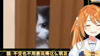 Japanese big-mouthed girls watch "Cats: You don't have to show it so obviously if you don't love me!