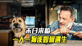 世界末日来临，一人一狗该如何死里逃生，剧情片