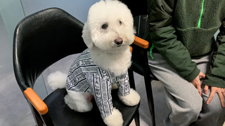 คนไข้ไนลอนที่มาเยี่ยมสัตวแพทย์ 5555