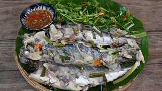 Cá Sa ba gỏi hành cuốn bánh tráng mắm nêm - Bin Đen Miền Tây # 265