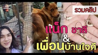 รวมคลิป "แน็ก ชาลี" & ผองเพื่อน | อย่างฮามาก !!