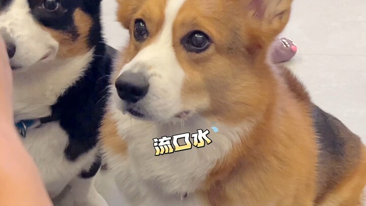 แค่กินขนมก็สัมผัสได้ถึงความกดดันนี้แล้ว