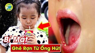 10 Bí Ẩn Ly Kỳ và Thú Vị Về Ống Hút Dính Trên Hộp Sữa Nhà Sản Xuất Luôn Giấu Chúng Ta