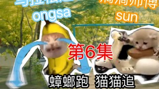 [The Earth is Crazy 23.5 Degrees] Open Episode 6 with Cat Meme