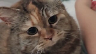 Apakah Mama akan marah jika aku tidur di lengan Mama?