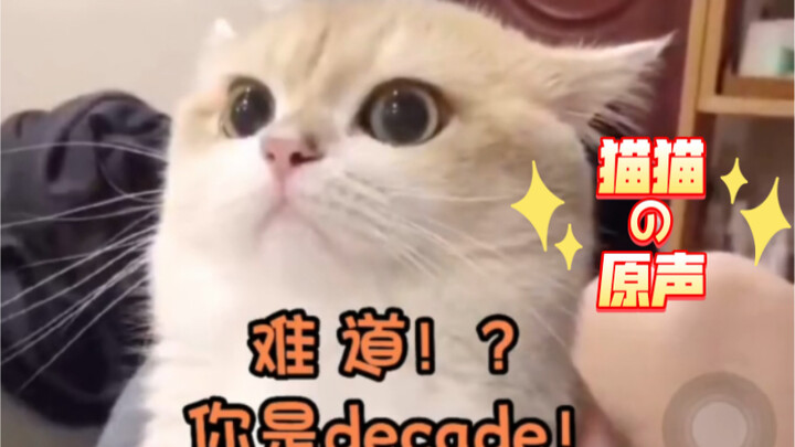 [The Cat’s Middle-Schooler Spirit Has Awakened!] (in Japanese)