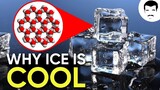 The Physics of Ice