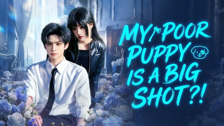 My Poor Puppy Is a Big Shot?!