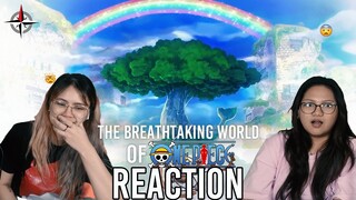 ONE PIECE NEW FAN  (Live Action) VS FAN WATCH THE BREATHTAKING WORLD OF ONE PIECE REACTION!!