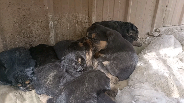 Thanks to your kindness, in just ten days, we have 50,000 friends.